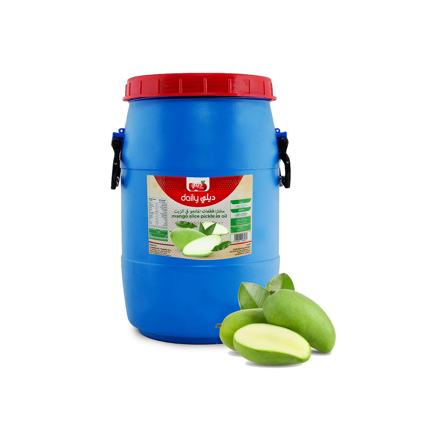 MANGO SLICED PICKLE IN OIL DAILY 20 KG